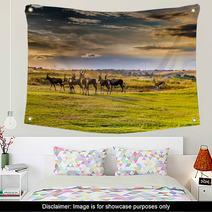 Antelope. South Africa
 Wall Art 86380311