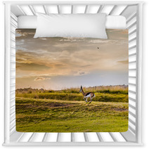 Antelope. South African
 Nursery Decor 86380315