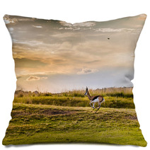 Antelope. South African
 Pillows 86380315
