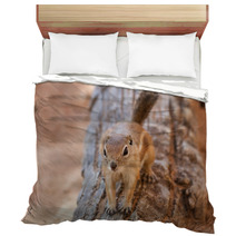 Antelope Squirrel Bedding 85622867