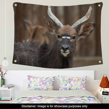 Antelope Wall Art 100784453
