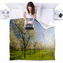 Apple Groove Blankets 42017030