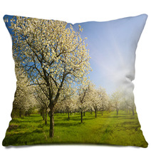 Apple Groove Pillows 42017030