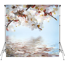 Apricot Flowers In Spring, Floral Background Backdrops 66265607