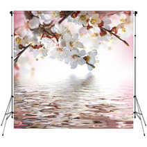 Apricot Flowers In Spring, Floral Background Backdrops 68010550