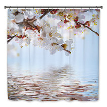 Apricot Flowers In Spring, Floral Background Bath Decor 66265607