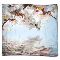 Apricot Flowers In Spring, Floral Background Blankets 66265607