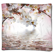Apricot Flowers In Spring, Floral Background Blankets 68010550