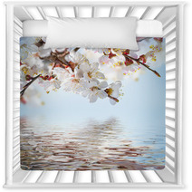 Apricot Flowers In Spring, Floral Background Nursery Decor 66265607