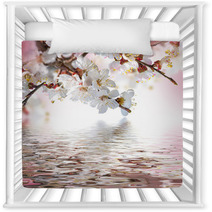 Apricot Flowers In Spring, Floral Background Nursery Decor 68010550