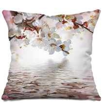 Apricot Flowers In Spring, Floral Background Pillows 68010550