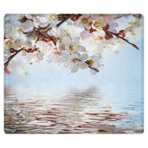 Apricot Flowers In Spring, Floral Background Rugs 66265607