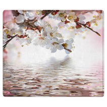 Apricot Flowers In Spring, Floral Background Rugs 68010550