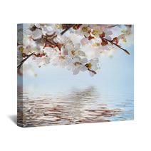 Apricot Flowers In Spring, Floral Background Wall Art 66265607