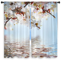 Apricot Flowers In Spring, Floral Background Window Curtains 66265607
