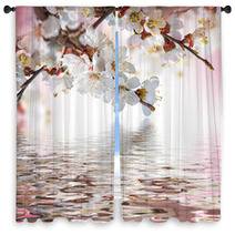 Apricot Flowers In Spring, Floral Background Window Curtains 68010550