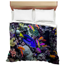 Aquarium Tropical Fish On A Coral Reef Bedding 51007002