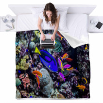 Aquarium Tropical Fish On A Coral Reef Blankets 51007002