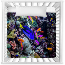 Aquarium Tropical Fish On A Coral Reef Nursery Decor 51007002