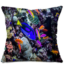 Aquarium Tropical Fish On A Coral Reef Pillows 51007002