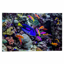 Aquarium Tropical Fish On A Coral Reef Rugs 51007002
