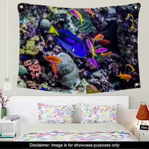 Aquarium Tropical Fish On A Coral Reef Wall Art 51007002