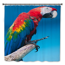Ara Parrot Bath Decor 59650754