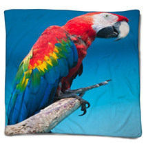 Ara Parrot Blankets 59650754