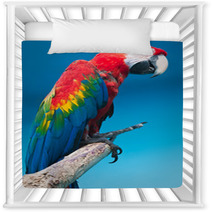 Ara Parrot Nursery Decor 59650754