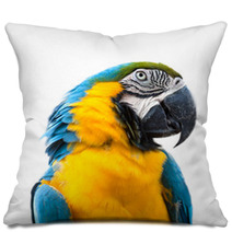 Ara Parrot Pillows 60711895