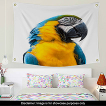 Ara Parrot Wall Art 60711895