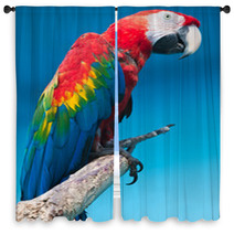 Ara Parrot Window Curtains 59650754