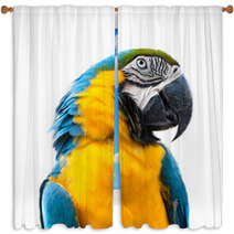 Ara Parrot Window Curtains 60711895