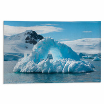 Arch Shaped Iceberg Antarctica Rugs 60711821