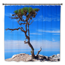 Argan Trees By The Sea. Imsouane, Morocco Bath Decor 60145845