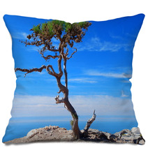 Argan Trees By The Sea. Imsouane, Morocco Pillows 60145845