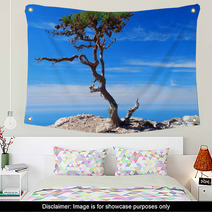 Argan Trees By The Sea. Imsouane, Morocco Wall Art 60145845