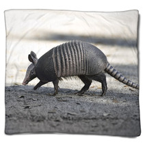 Armadillo Crossing The Road Blankets 62684619