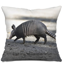 Armadillo Crossing The Road Pillows 62684619