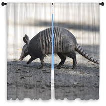 Armadillo Crossing The Road Window Curtains 62684619