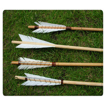 Arrows Rugs 1474628