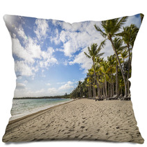 Atlantic Beach Pillows 65227129