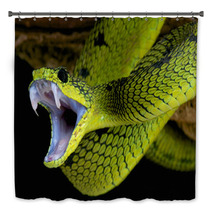 Attacking Snake / Atheris Nitschei Bath Decor 63574143
