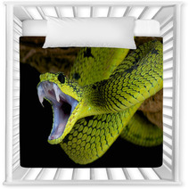 Attacking Snake / Atheris Nitschei Nursery Decor 63574143