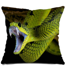 Attacking Snake / Atheris Nitschei Pillows 63574143