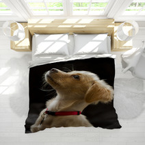 Attentive Puppy In Color Bedding 67949336
