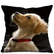 Attentive Puppy In Color Pillows 67949336