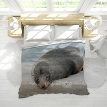 Australia Fur Seal Close Up Portrait Bedding 100260711