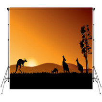 Australia Kangaroos Backdrops 47591331