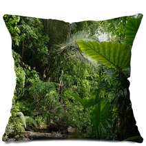 AUSTRALIEN - RAINFOREST Pillows 4290225